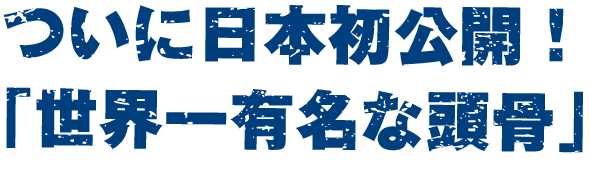 ついに日本初公開!「世界一有名な頭骨」