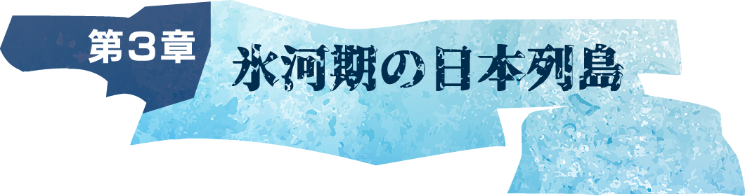 第3章 氷河期の日本列島