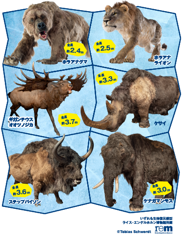 ケナガマンモス、ラアナライオン、ホラアナグマ、ステップバイソン、ギガンテウスオオツノジカ、ケサイカの写真